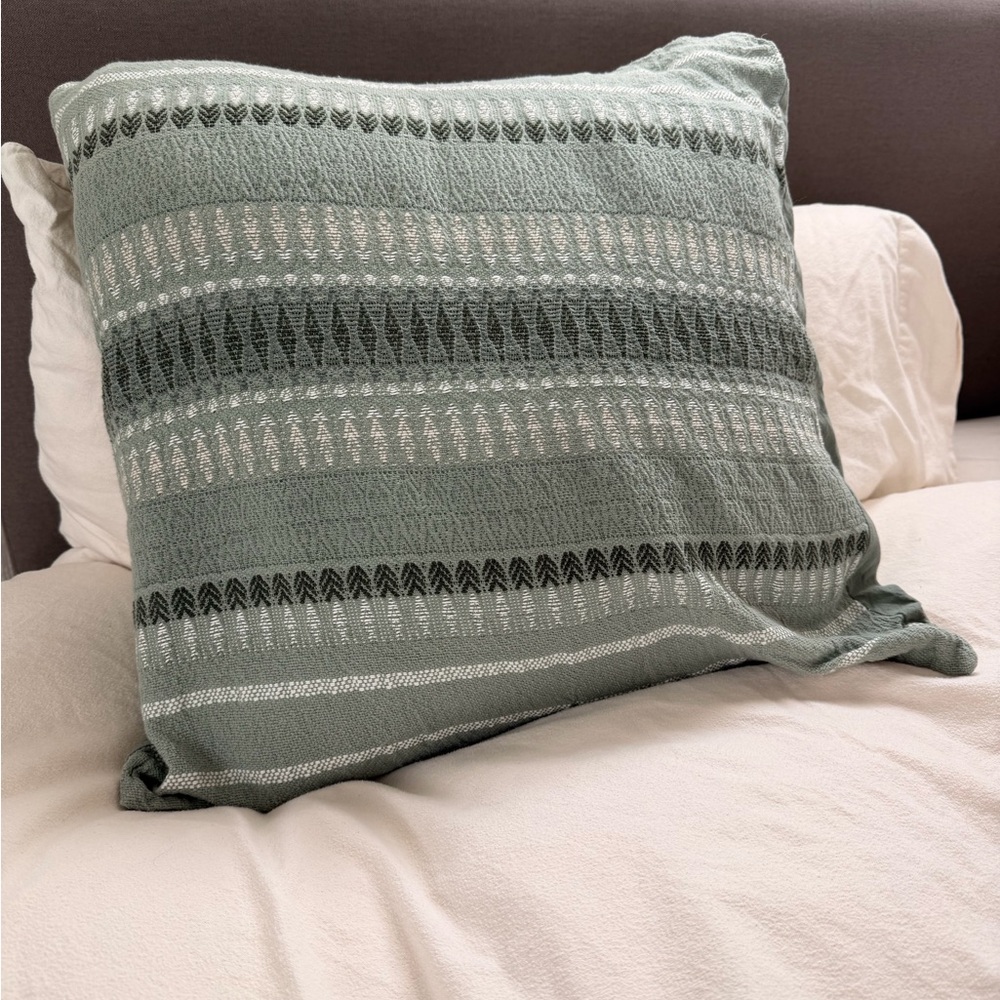 Two Coyuchi Lost Coast Organic pillow shams (covers only) 20 x 20